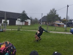 beseda s policii60